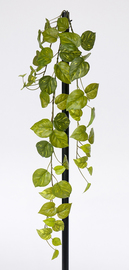 COLGANTE POTHOS 75 CM