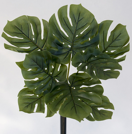 PLANTA FILODENDRO 42 CM