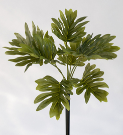 PLANTA MONSTERA 42 CM