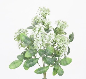 MATA CALANCHOE 30 CM