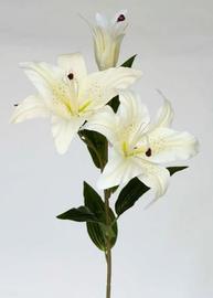 LILIUM TAC/NAT 80 CM