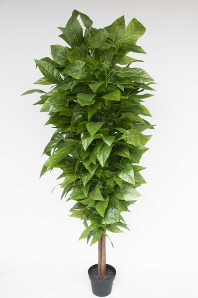 ARBOL TRONCO NATURAL MANGO 185 CM