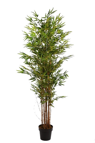 ARBOL BAMBU 140 CM