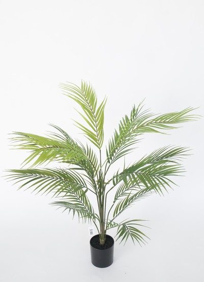ARECA 90 CM