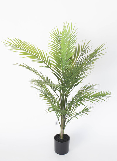 ARECA 120 CM CON MACETA