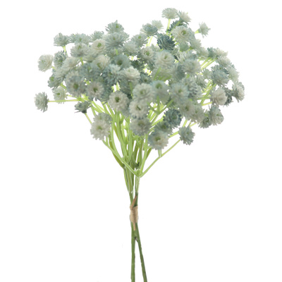 ATADO PANICULATA