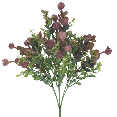 MATA EUCALIPTUPS BERRY