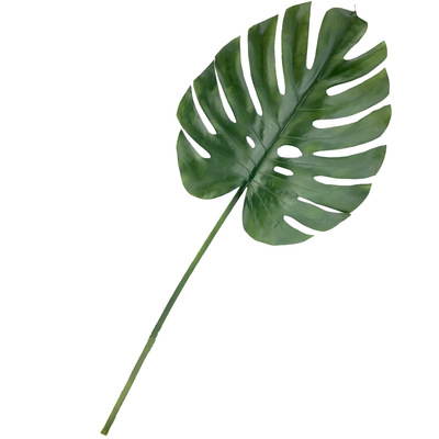 HOJA DE MONSTERA GIGANTE