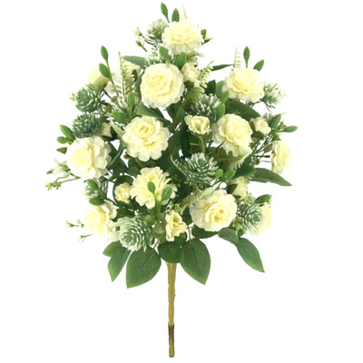 RAMO PALMA ZINNIZS CRASAS