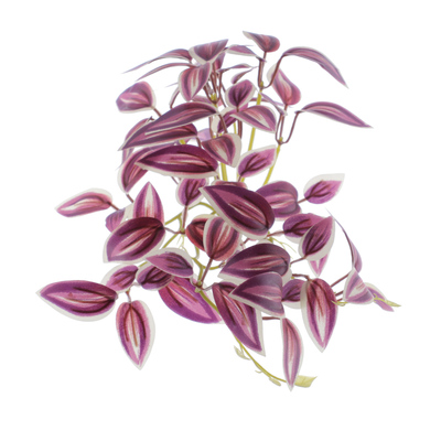 MATA TRADESCANTIA MINI 32 CM