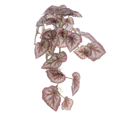 MATA COLGANTE BEGONIA  60 CM