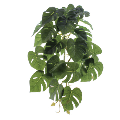 MATA COLGANTE MONSTERA 50 CM