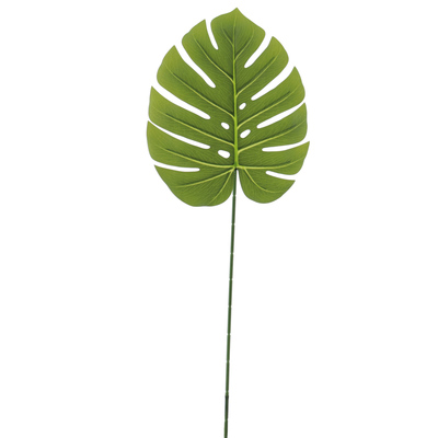 HOJA DE MONSTERA