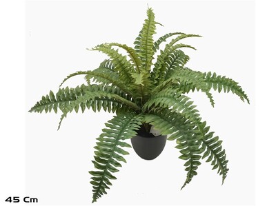 HELECHO CON MACETA 45 CM