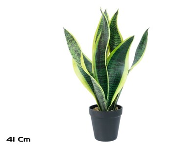 MACETA SANSEVERIA 42 CM