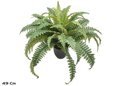 HELECHO EN MACETA 50 CM