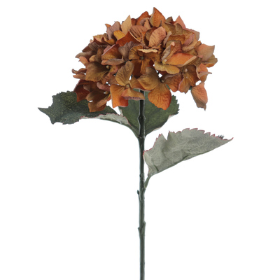 HORTENSIA VINTAGE