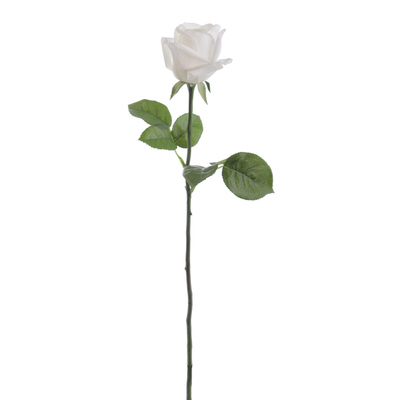 CAPULLO DE ROSA TAC/NAT