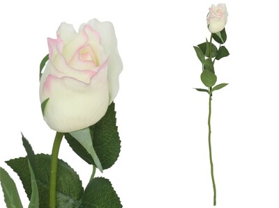 CAPULLO ROSA TACTO NATURAL 60 CM