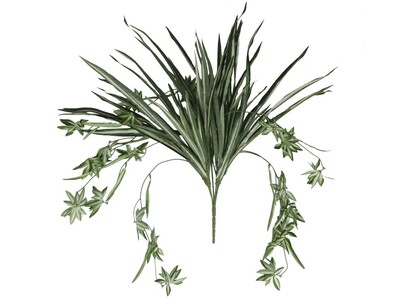 PLANTA CINTA COLGANTE 62 CM