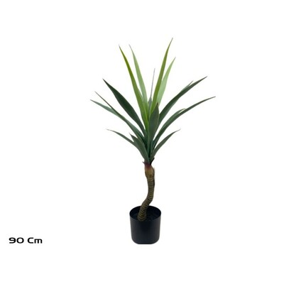 PLANTA YUCCA 90 CM