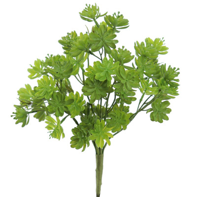 RAMO MINI SUCULENTAS