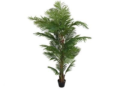 PLANTA PHOENIX EN MACETA 150 CM