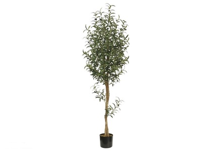 ARBOL DE OLIVO CON MACETA 180 CM