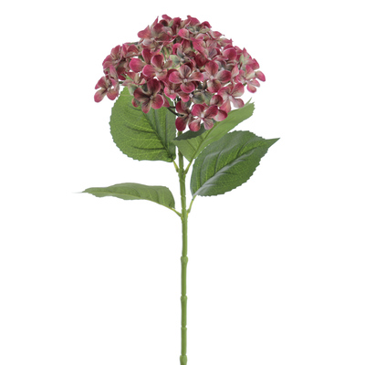 HORTENSIA 70 CM FUXIA