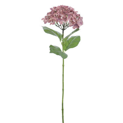 HORTENSIA 70 CM MALVA