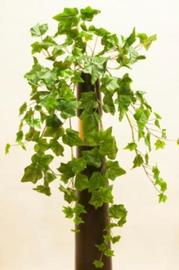 MATA COLGANTE HIEDRA MINI 75 CM VERDE