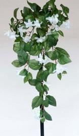 MATA COLGANTE FUSCHIA 80 CM