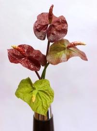 SURTIDO ANTHURIUM 80 CM