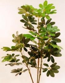 SCHEFLERA 120 CM VERDE