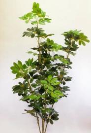 SCHEFLERA 180 CM VERDE