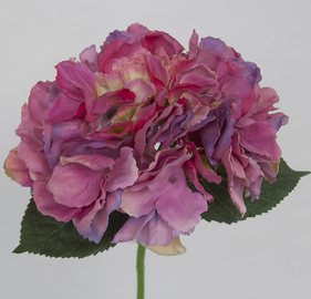 HORTENSIA TAC/NAT 42 CM
