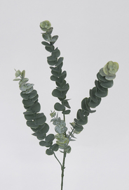 VARA EUCALIPTO 80 CM