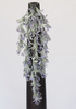 COLGANTE TREPADORA 74 CM