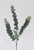 VARA EUCALIPTO 80 CM VERDE