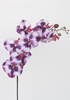 VARA PHALENOPSIS 85 CM