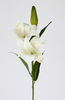VARA LILIUM TAC/NAT 78 CM CREMA