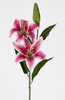 VARA LILIUM TAC/NAT 78 CM FUXIA