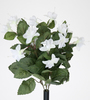 MATA FUCHSIA CREMA