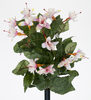 MATA FUCHSIA ROSA