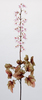 VARA HEUCHERA 95 CM ROSA