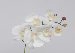 VARA ORQUIDEA 70 BLANCO