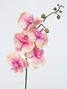 VARA PHALENOPSIS 85 CM SALM?N