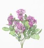 MATA CALANCHOE 30 CM P?RPURA