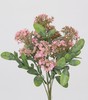 MATA CALANCHOE 30 CM ROSA