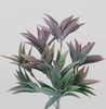 MATA AGAVE 32 CM LILA